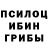 Галлюциногенные грибы прущие грибы Katia Cunha