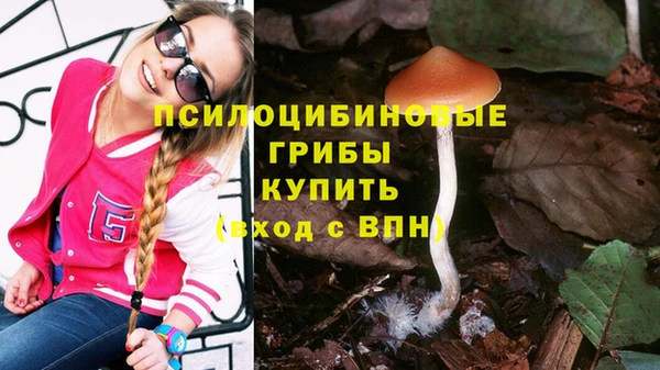 МДМА Гусиноозёрск