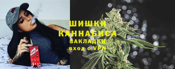 кристаллы Гусь-Хрустальный