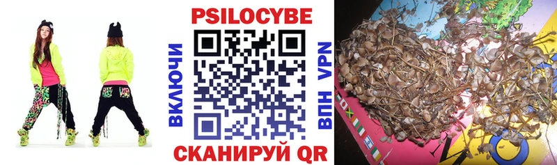 Купить где  Ишим  Галлюциногенные грибы GOLDEN TEACHER 